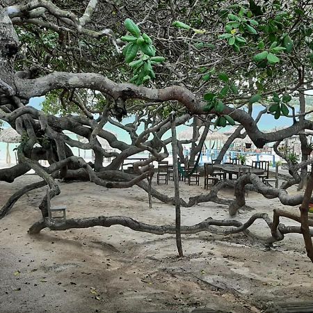 Jangaloa Apartman Jijoca de Jericoacoara Kültér fotó